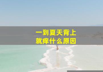 一到夏天背上就痒什么原因