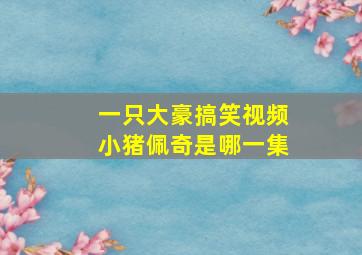 一只大豪搞笑视频小猪佩奇是哪一集