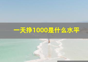 一天挣1000是什么水平