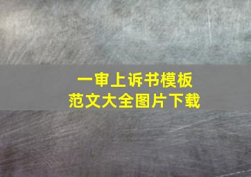 一审上诉书模板范文大全图片下载