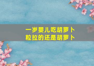 一岁婴儿吃胡萝卜粒拉的还是胡萝卜