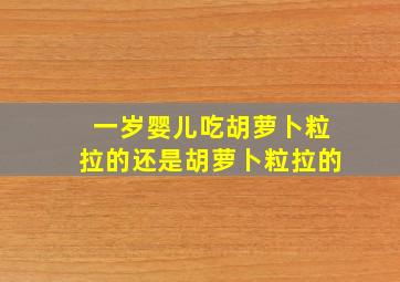 一岁婴儿吃胡萝卜粒拉的还是胡萝卜粒拉的