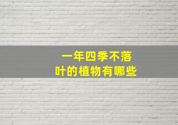 一年四季不落叶的植物有哪些