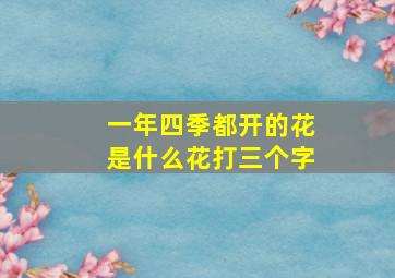 一年四季都开的花是什么花打三个字