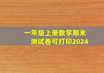 一年级上册数学期末测试卷可打印2024