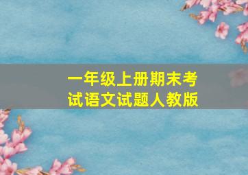 一年级上册期末考试语文试题人教版