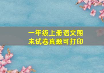 一年级上册语文期末试卷真题可打印