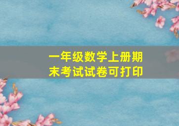 一年级数学上册期末考试试卷可打印