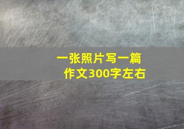 一张照片写一篇作文300字左右