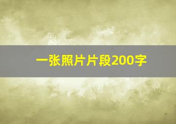 一张照片片段200字