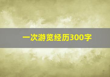 一次游览经历300字