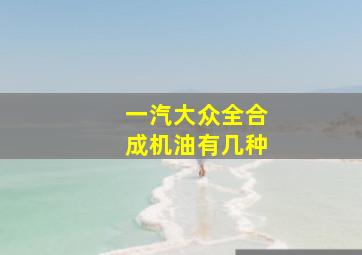 一汽大众全合成机油有几种