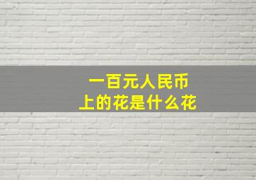 一百元人民币上的花是什么花