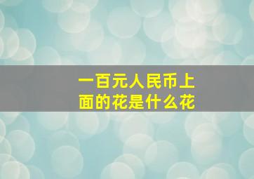 一百元人民币上面的花是什么花