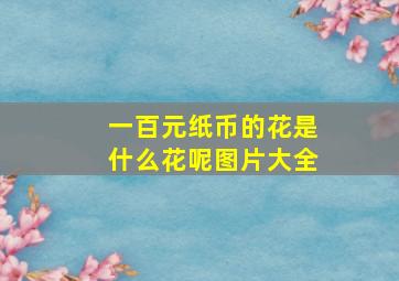 一百元纸币的花是什么花呢图片大全