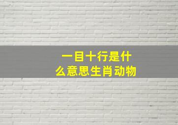 一目十行是什么意思生肖动物