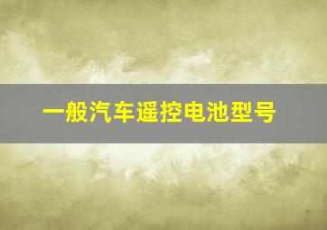 一般汽车遥控电池型号