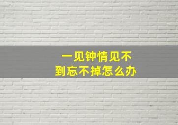 一见钟情见不到忘不掉怎么办