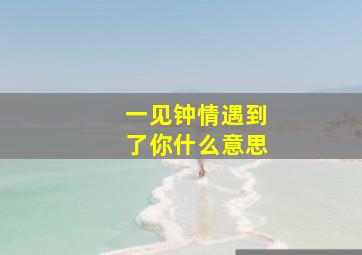 一见钟情遇到了你什么意思