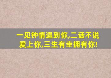 一见钟情遇到你,二话不说爱上你,三生有幸拥有你!