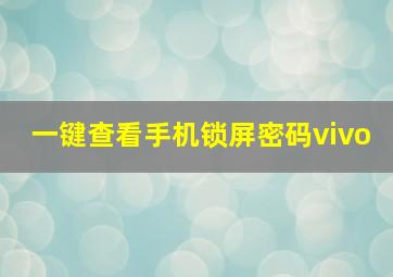 一键查看手机锁屏密码vivo