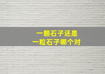 一颗石子还是一粒石子哪个对