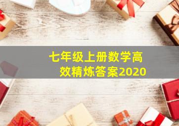 七年级上册数学高效精炼答案2020