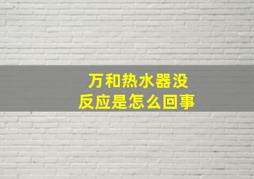 万和热水器没反应是怎么回事