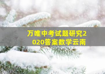 万唯中考试题研究2020答案数学云南