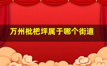 万州枇杷坪属于哪个街道