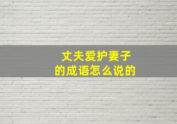 丈夫爱护妻子的成语怎么说的