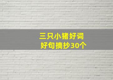 三只小猪好词好句摘抄30个