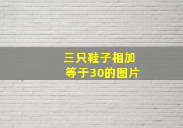 三只鞋子相加等于30的图片