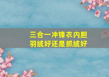 三合一冲锋衣内胆羽绒好还是抓绒好