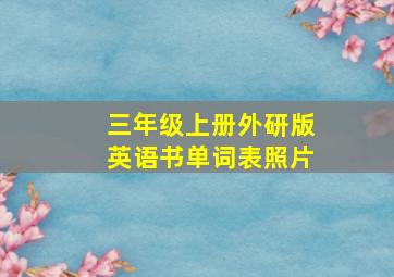 三年级上册外研版英语书单词表照片