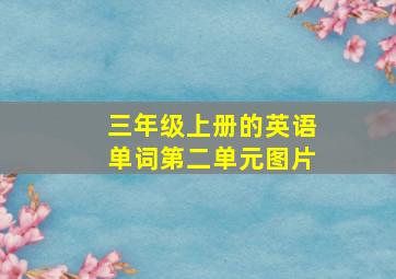 三年级上册的英语单词第二单元图片