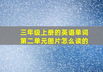 三年级上册的英语单词第二单元图片怎么读的