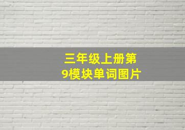 三年级上册第9模块单词图片