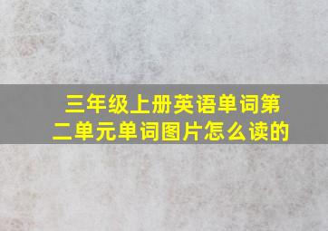 三年级上册英语单词第二单元单词图片怎么读的