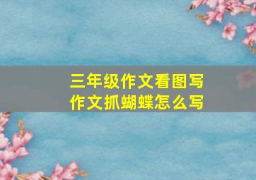 三年级作文看图写作文抓蝴蝶怎么写