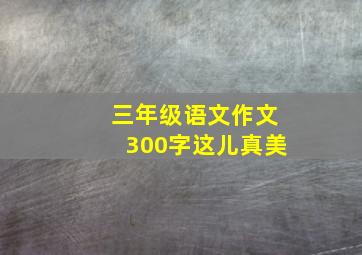 三年级语文作文300字这儿真美