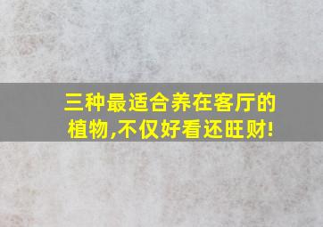 三种最适合养在客厅的植物,不仅好看还旺财!