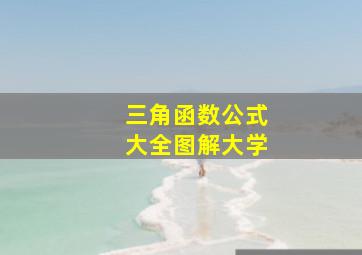 三角函数公式大全图解大学