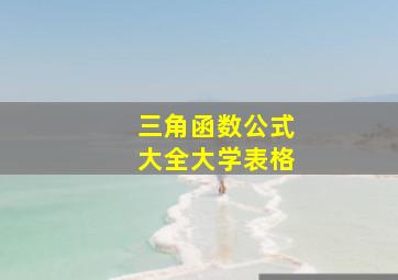 三角函数公式大全大学表格