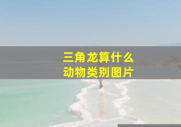 三角龙算什么动物类别图片