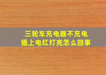 三轮车充电器不充电插上电红灯亮怎么回事