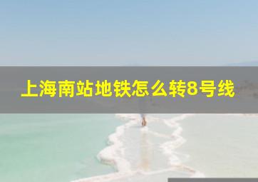 上海南站地铁怎么转8号线