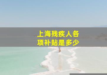 上海残疾人各项补贴是多少