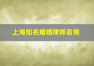 上海知名婚姻律师咨询