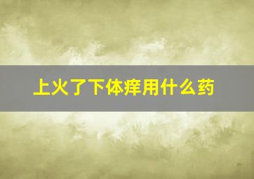 上火了下体痒用什么药